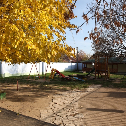 Наша радост